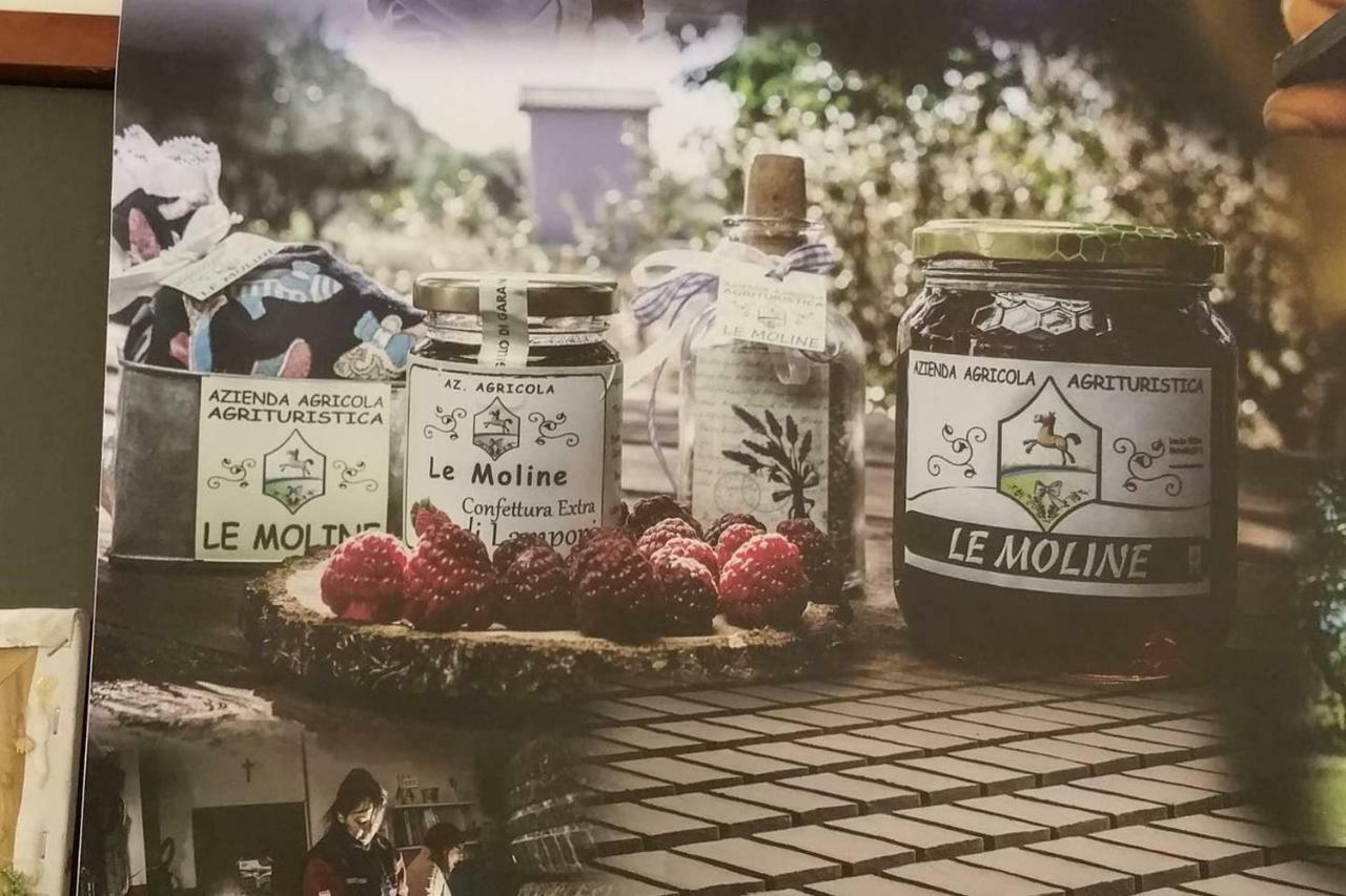 Piccolo Casale A "Le Moline" In Una Vera Fattoria Vetralla Exterior foto