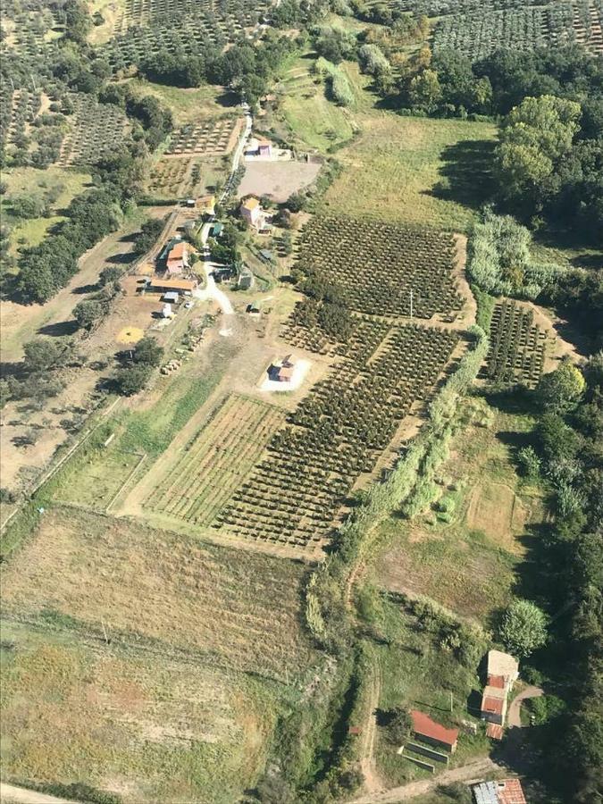 Piccolo Casale A "Le Moline" In Una Vera Fattoria Vetralla Exterior foto