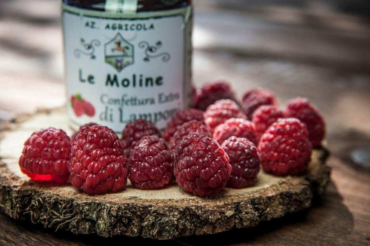 Piccolo Casale A "Le Moline" In Una Vera Fattoria Vetralla Exterior foto