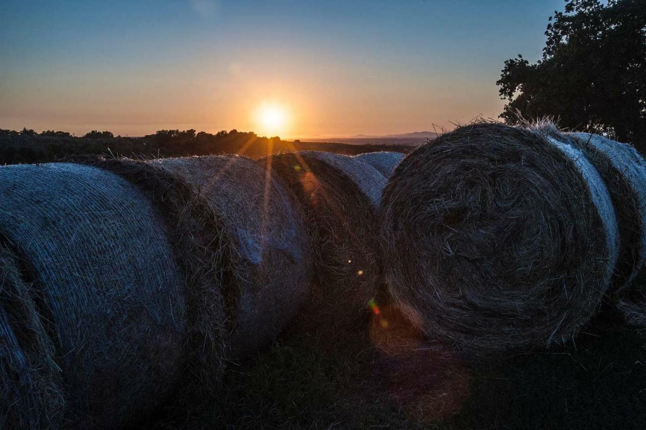 Piccolo Casale A "Le Moline" In Una Vera Fattoria Vetralla Exterior foto